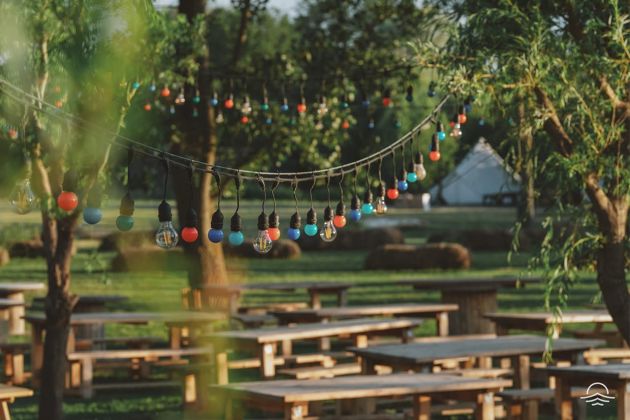 zona vama concerte zaga zaga 533f1cf1