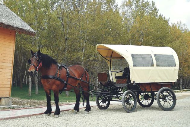 home galerie coviltir 5f9d49a6